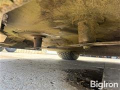 IMG_4580.jpeg