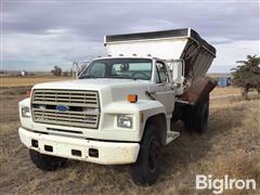 1987 Ford F800 S/A Feed Truck 