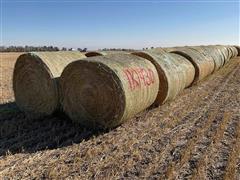 Millet (Forage) Hay Big Rounds 