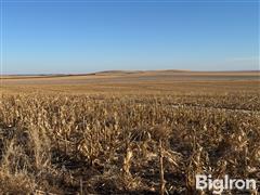 Tract 7: 1,962+/- Acres Sully County, SD