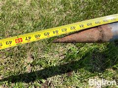 IMG_4105.jpeg