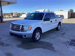 2009 Ford F150 2WD Crew Cab Pickup 