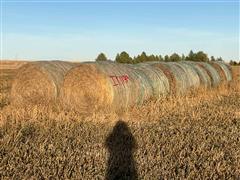 Alfalfa 1st Cutting Hay Big Round Bales 