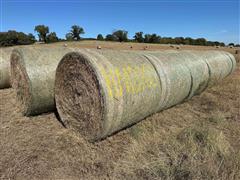 Prairie Grass Hay 