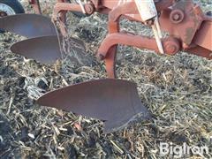 items/c6b9fff915c6ef1195f6000d3a620d5e/international7104bottomplow-2_267725f9de314e20bcec98ea9428e158.jpg