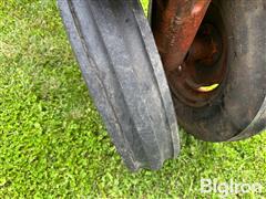 IMG_8549.JPG