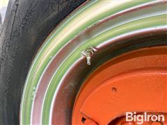 IMG_8559.JPG