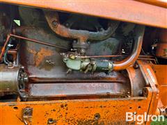 IMG_8535.JPG