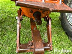 IMG_8517.JPG