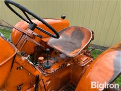 IMG_8529.JPG