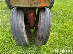 IMG_8539.JPG
