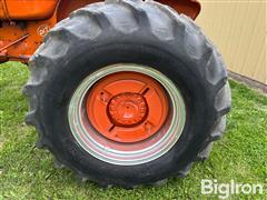 IMG_8553.JPG