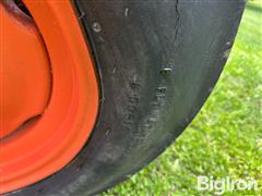 IMG_8547.JPG
