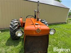 IMG_8502.JPG