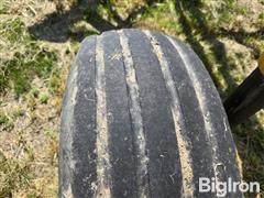 20250620_104642.jpg