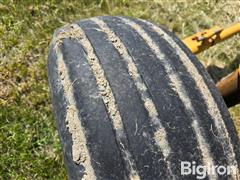 20250620_104732.jpg