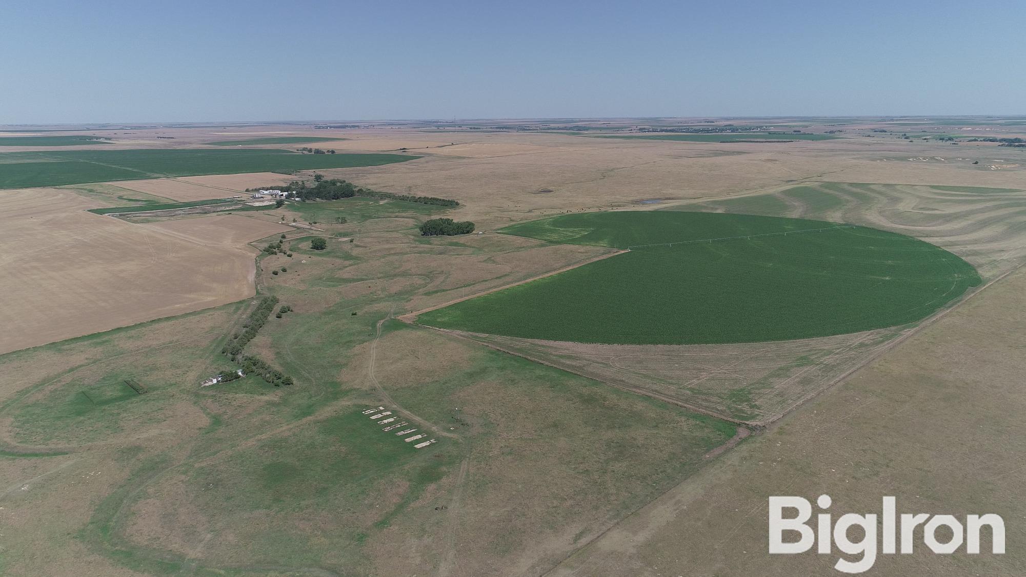 Wheat stubble, grass, farmstead, pivot.JPG