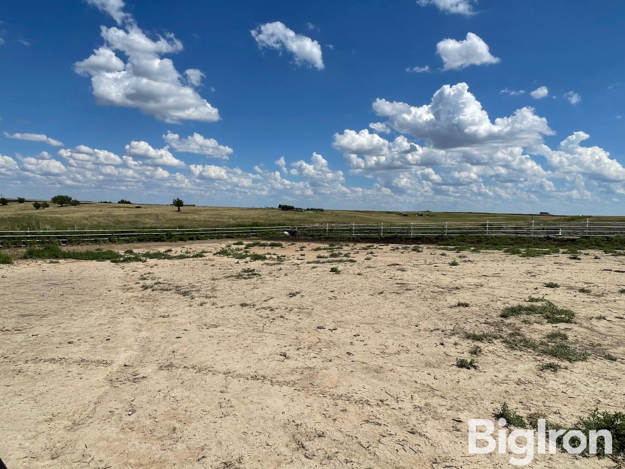 Cattle Pens 1.jpg