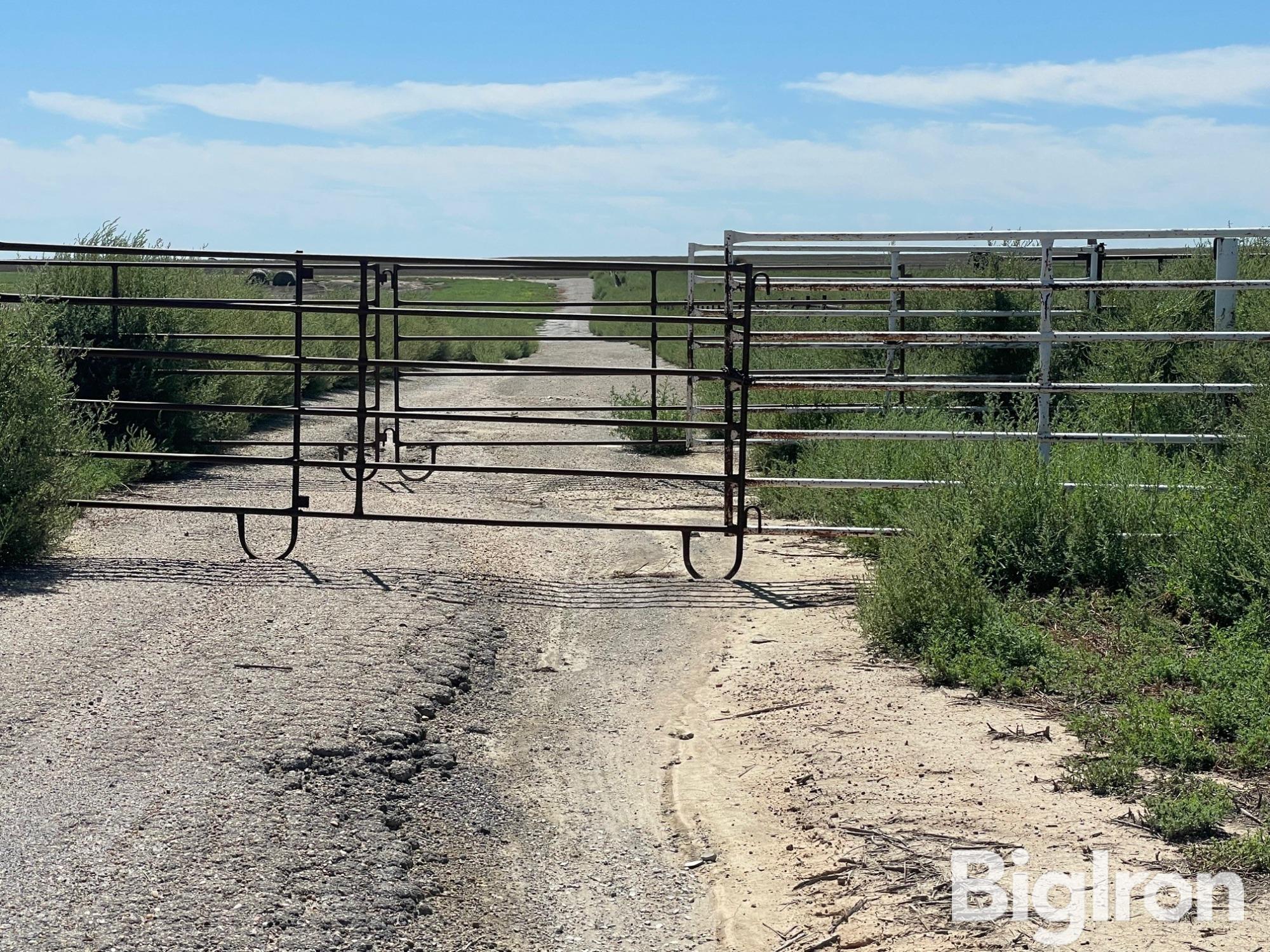 Cattle Pens Crossing Alleys.jpg