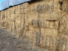 Lot Of 100 Small Square Tef Grass Hay Bales 
