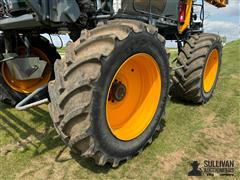 IMG_4062 3.JPG
