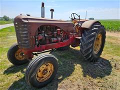 1954 Massey Harris 44D Special 2WD Tractor 