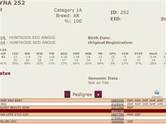 252 Pedigree.JPG