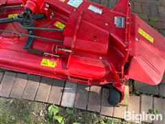 IMG_0425.jpeg