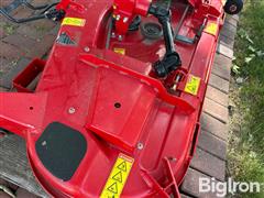 IMG_0403.jpeg