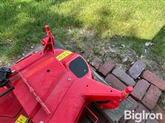 IMG_0421.jpeg