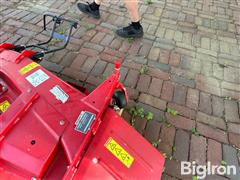 IMG_0412.jpeg