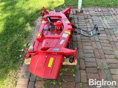 IMG_0395.jpeg