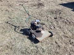 22" Push Mower 