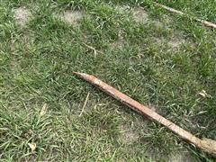 IMG_5324~photo.JPG