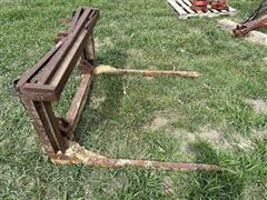IMG_5319~photo.JPG