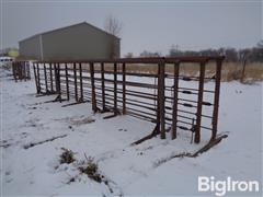 Freestanding 24' Steel Livestock Panels 