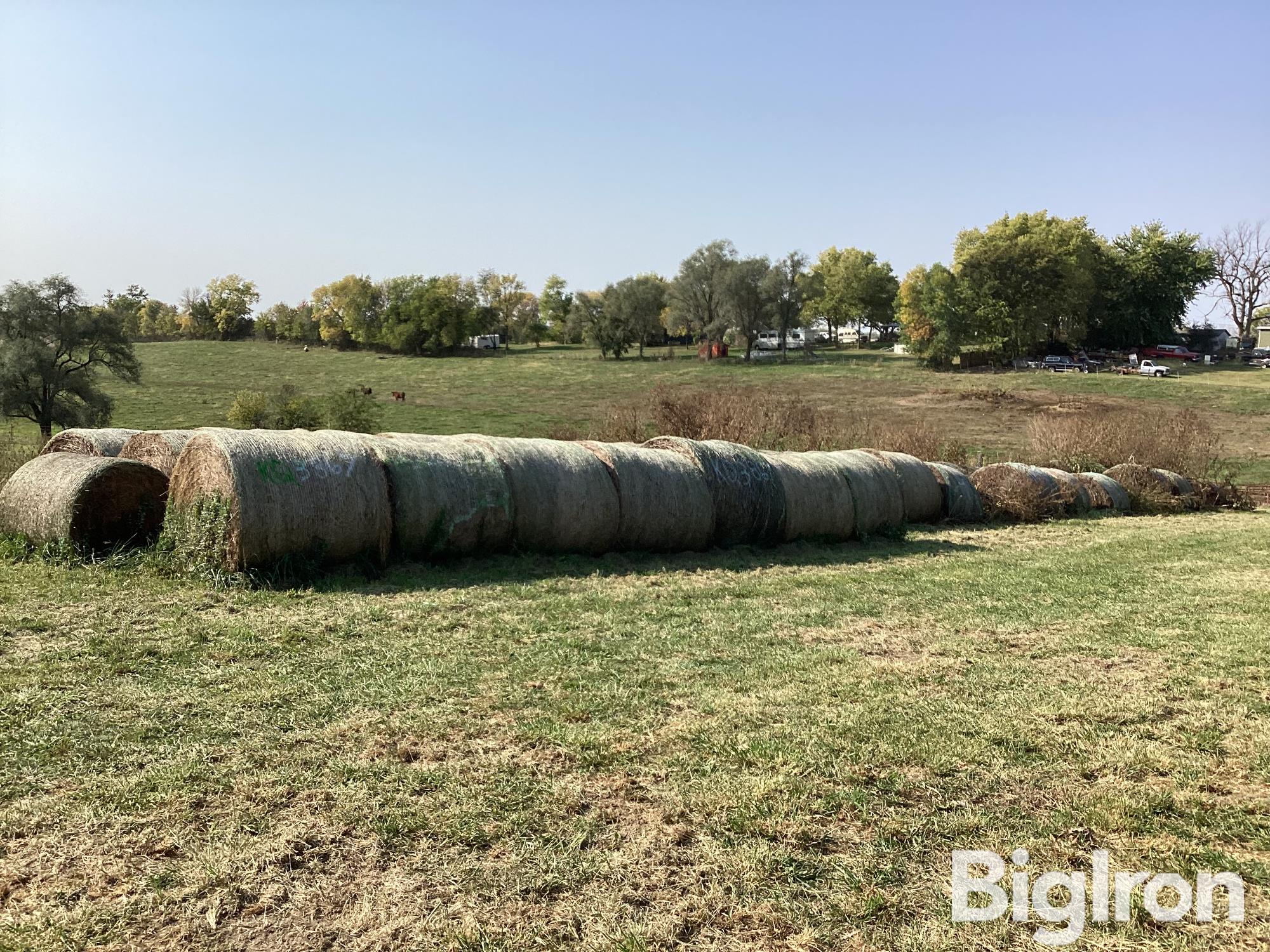 (50) 5'X6' Grass Hay Round Bales 