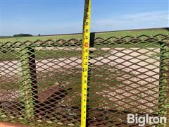 IMG_8083.jpeg