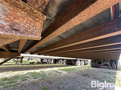 IMG_2231.jpeg