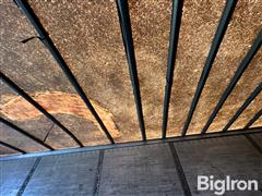 IMG_2250.jpeg