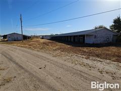 Horse Barns 