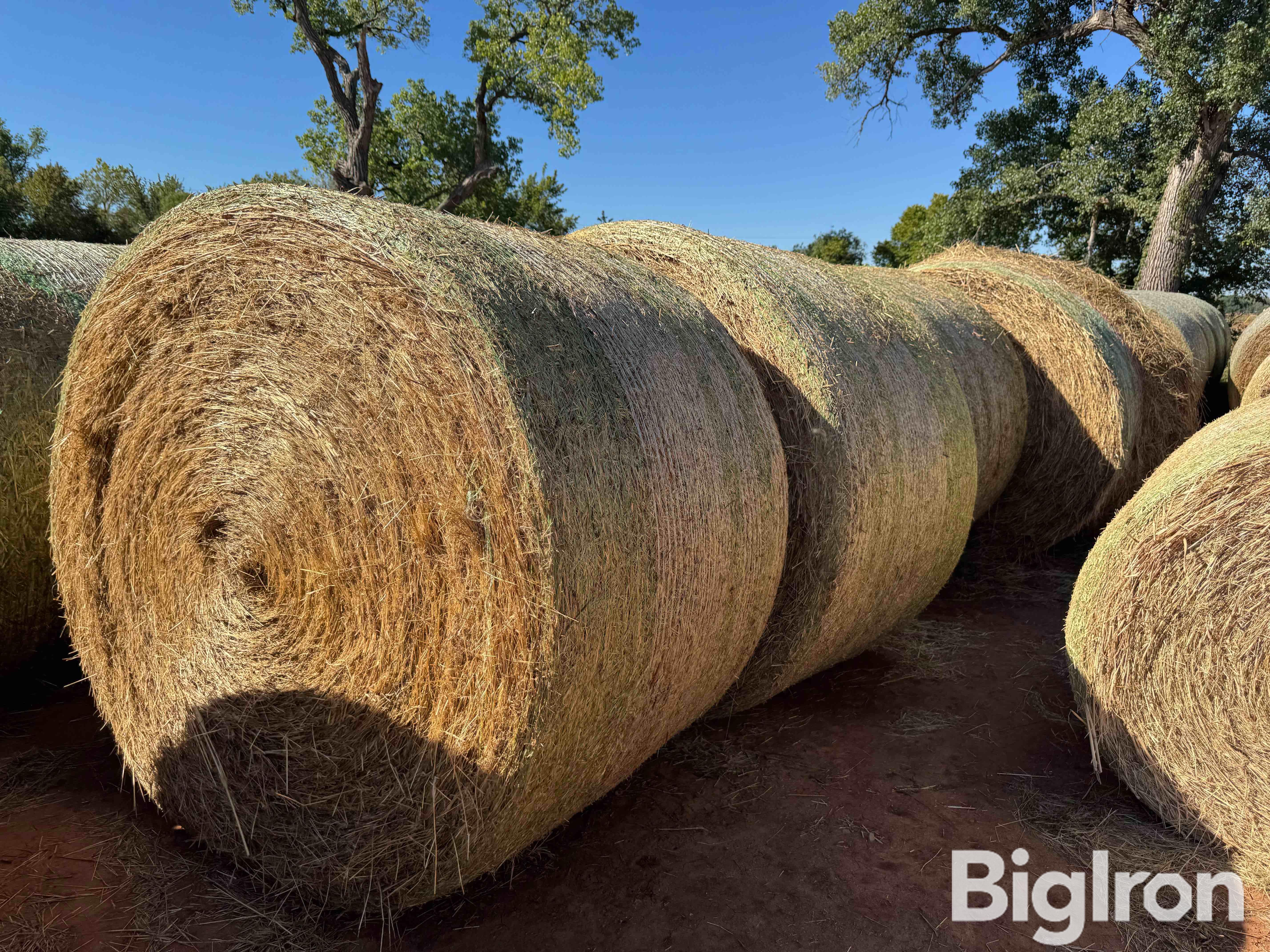 4X6 Bermuda Hay 