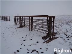 Freestanding 24' Steel Livestock Panels 