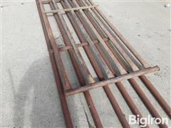 20250228_121543.jpg