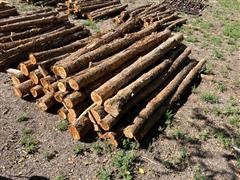 Cedar Posts 