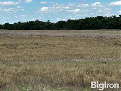 Tract 1: 80.42 Acres Reno County, KS