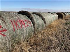 Wheat Hay Big Rounds 