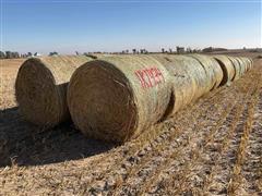 Millet (Forage) Hay Big Rounds 