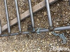 IMG_4866.jpeg
