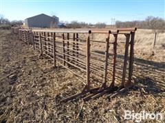 Freestanding 24' Steel Livestock Panels 